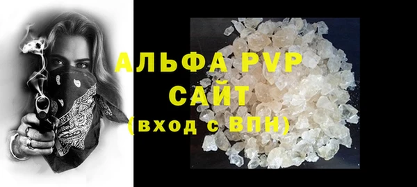 индика Алексин