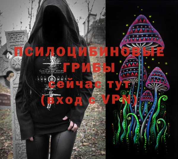 spice Абинск