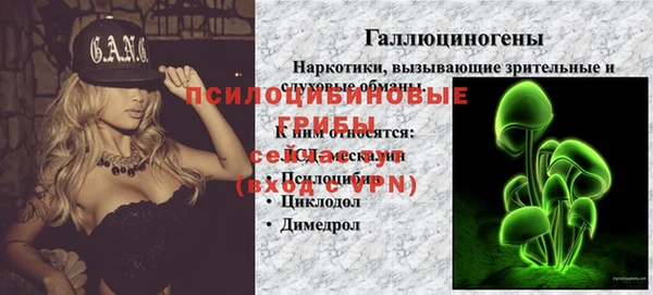spice Абинск