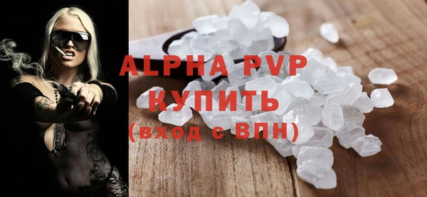индика Алексин