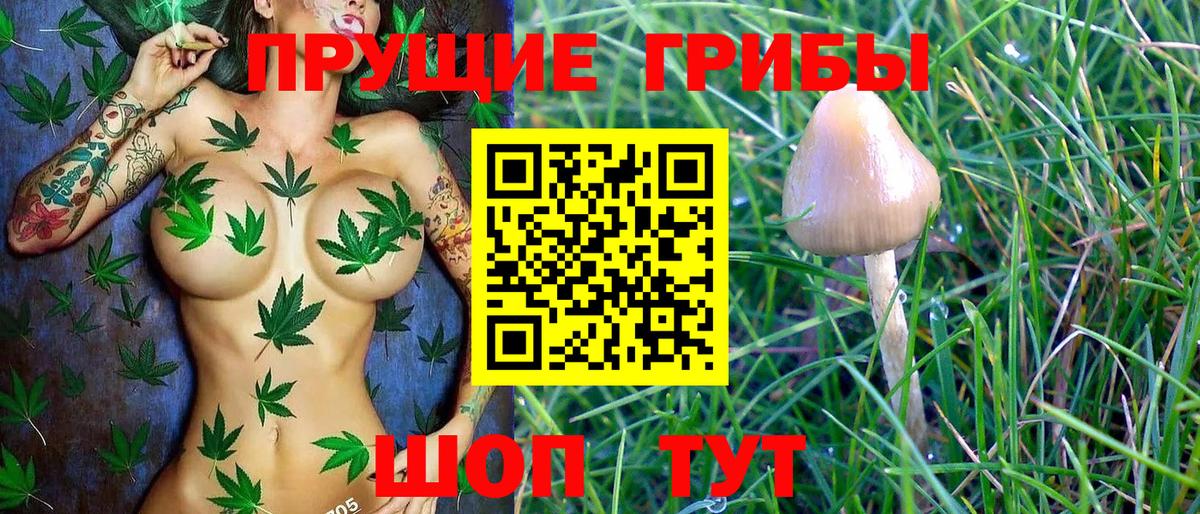 Галлюциногенные грибы Magic Shrooms Карабулак