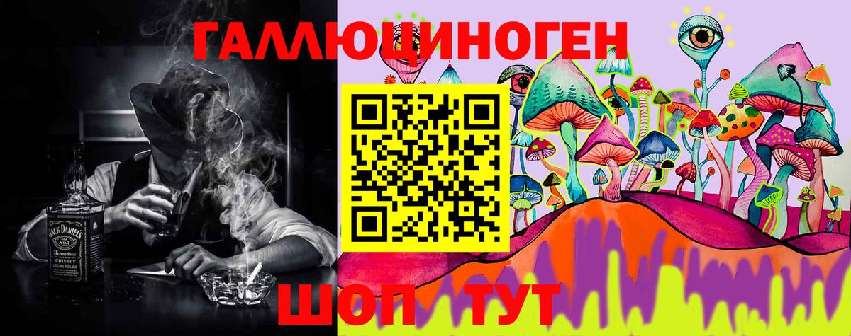 Карабулак  Псилоцибиновые грибы Cubensis  Вход с VPN 